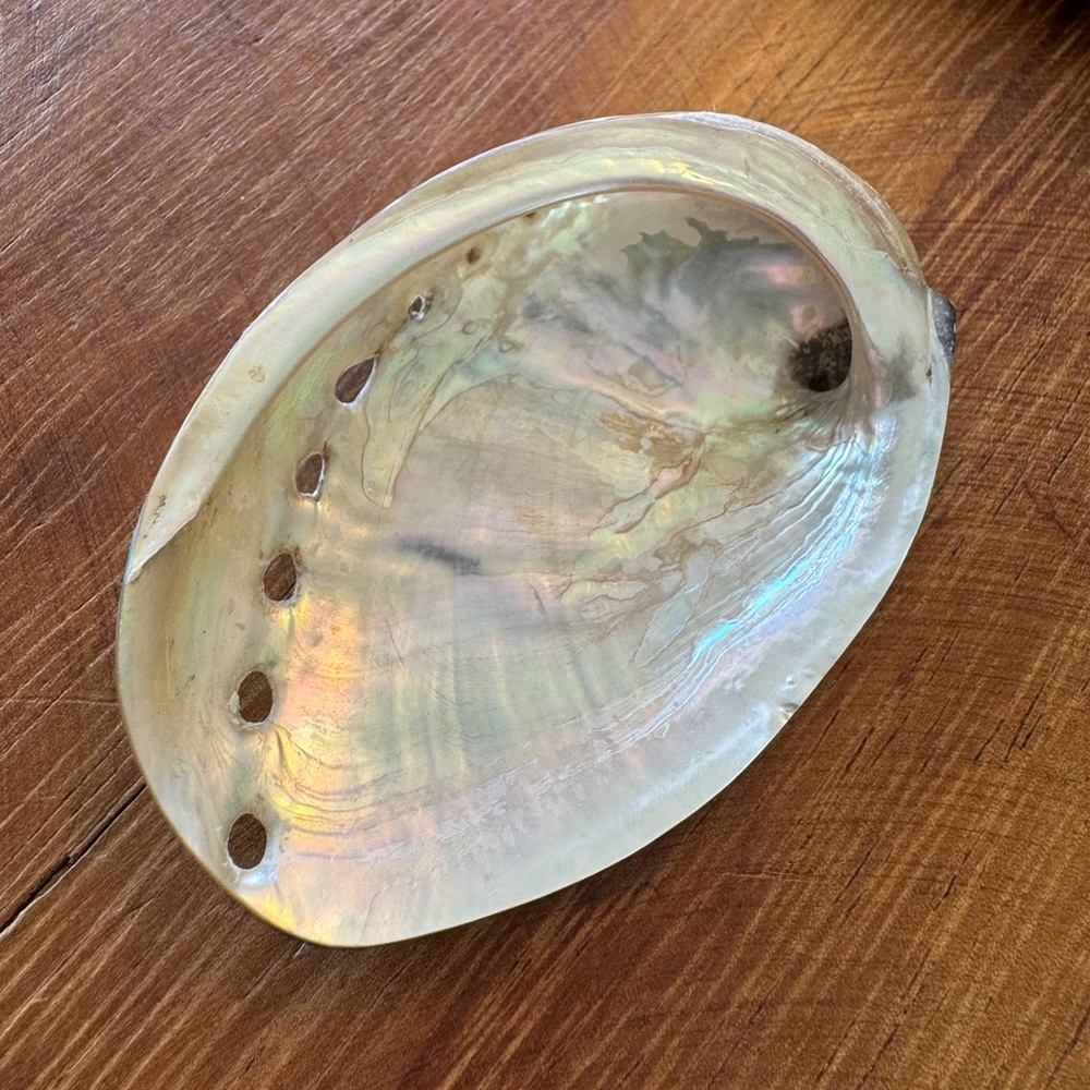 Iridescent Abalone Shells - Picture 3 of 7